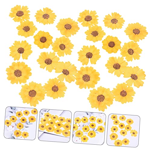 CORHAD 48 flores secas prensadas para manualidades miniatura 3