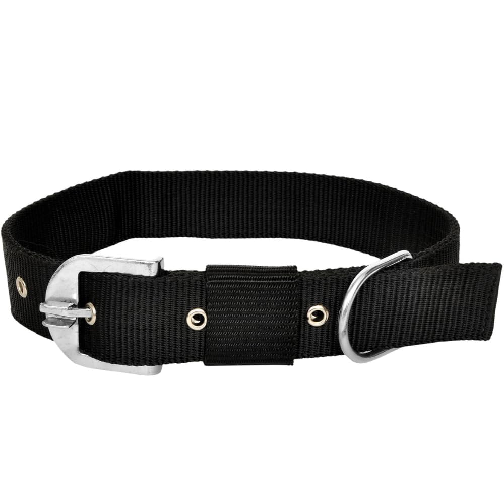 PAWPINESS Heavy Duty Nylon Dog Collar, Large, Fancy Export Quality (1.0 Inch, Black) (B0D2DCFVQ4) Amazon Price History, Amazon Price Tracker