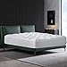 St Starcast Queen Egyptian Cotton Pillow Top 2 Inch Mattress Topper Cover, Thick Plush Down Alternative Mattress Pad Cooling, Soft Quilted Mattresses Toppers Protector, 8-21” Deep Pocket