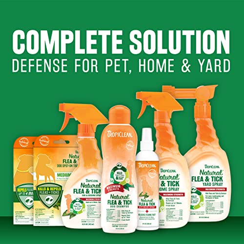 TropiClean Natural Flea & Tick Maximum Strength Shampoo for Dogs, 1 gal - Kills Fleas, Ticks, Larva, Eggs by Contact… - Image 7