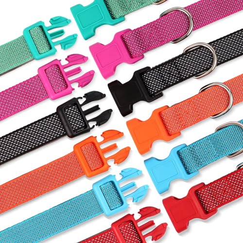 Didog Reflektierendes Hundehalsband mit Schnalle, verstellbar, weiches Neopren, gepolstert, Nylon, Haustierhalsbänder für kleine, mittelgroße und große Hunde, Rot, M