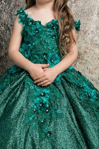 Mauuwy Shiny Flower Girl's Dress for Wedding Beaded Pageant Dresses for Kids 3D Floral First Communion Gowns for Children3