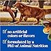 EverRoot By Purina Hip and Joint Dog Supplements Soft Chews - 10.6 oz. Canister