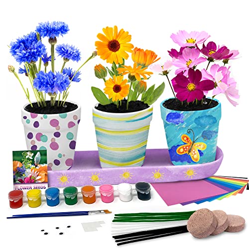 Pinwheel-Crafts-Flower-Pot-Painting-Kit--Paint-Your-Own-Kids-Plant-Growing-Kit-with-Seeds-Soil-8-Paints-2-Brushes-3-Pots--DIY-Flower-Crafts-Gift-for-Kids-Ages-4-8 Pinwheel Crafts Flower Pot Painting Kit–Paint Your Own Kids Plant Growing Kit with Seeds Soil 8 Paints 2 Brushes 3 Pots–DIY Flower Crafts Gift for Kids Ages 4 8