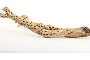 Koyal Cholla Wood Stick: Perfect for Aquatic Pets and Terrariums (12")