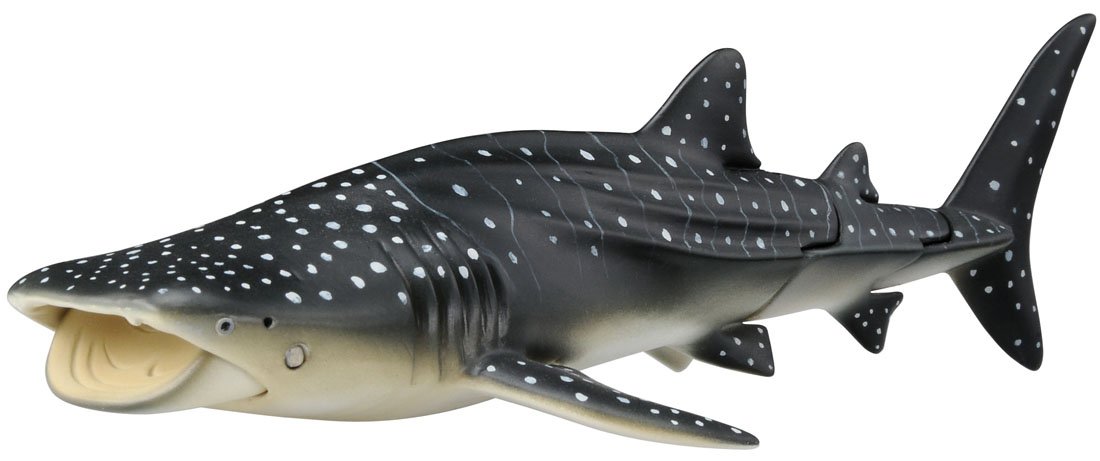 アニア　ジンベエザメ Amazon.co.jp: アニアAL-05 ジンベエザメ : おもちゃ