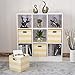 Posprica 3X Thicker Storage Bins Storage Cubes -11×11 Foldable Fabric Storage Baskets Organizer Container, Set of 4,Yellow Stripes