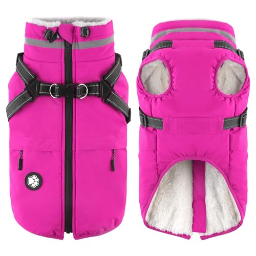 Dogcheer pR[g n[lXt h pWPbg NX}X ybg EB^[R[g |Pbgt  񂿂 ^[glbN t[XWPbg ^  ^p - sNAXS