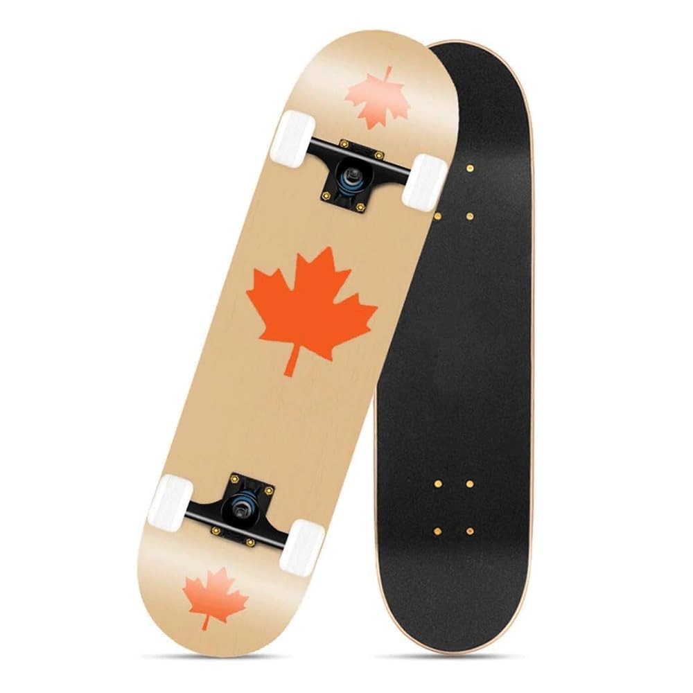 スケートボード 151 skates board Buy Zinnia Skateboard for Adults, 31 * 8 INCH Double Kick Concave