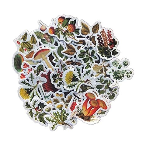 DESEACO Plant Stickers Aesthetic Cute Flower, Mini Sticker Seasonal Wild Plant, Fall Leaves Stickers Decals Sets for Scrapbooking, case, Stationary, Laptops, Diary, Envelop and Journals-Box Pack 92PC Cover