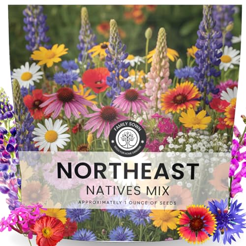 Northeast Natives Mix 16 000 Seeds for Planting 2026 Season 1 Ounce Pouch
