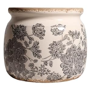 Ceramic Planters for Indoor Plants, Plant Pots with Drainage Hole, 6.29in. Flower Pots for Indoor Plants, Stylish Planters & Succulent Pots, Crackle Glaze Finish Plant Pots Indoor, Gray Ceramic Planters for Indoor Plants Plant Pots with Drainage Hole 629in Flower Pots for Indoor Plants Stylish Planters Succulent Pots Crackle Glaze Finish Plant Pots Indoor Gray