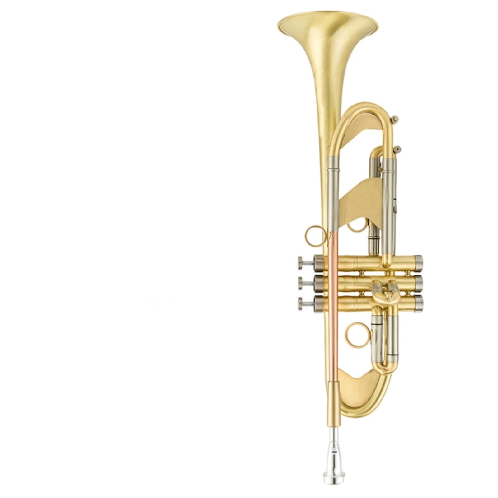 Adult Trumpet Trompette professionnelle en si bémol