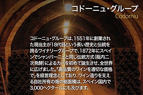 最安値 サッポロビール ヌヴィアナテンプラニーリョ カベルネ コドーニュ 750ml 1本の価格比較