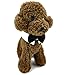 Diyafas 2 x Baumwolle Haustier Fliege Hundekrawatte Katzen Welpen Formelle Halsband Halsketten Einstellbar Krawatte Bowknot für Hochzeit Party