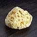 Neptune Natural Sea Wool Sponge - All Natural Honeycomb Renewable Sea Sponge, Medium, Approx. 4 Inches