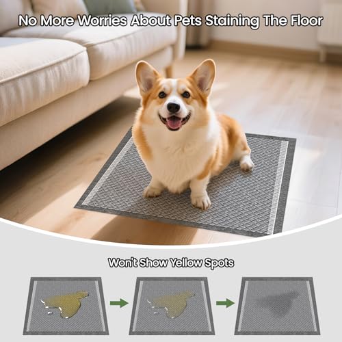 Image of Charcoal Small Puppy Pads Pee Pads for Dogs 22 inchx22 inch 100 Count | Disposable Activated Carbon Super Absorbent Full Edge-Wrapping Pee Pads Odor-Control Training Pads for Doggie Cats Rabbits