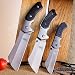 Wartech Buckshot Knives Cleaver Combo 3 PC Black Set 8" Outdoor Fixed Blade Cleaver Knife + Cleaver Assisted Open Folding + Miniature Buckshot Cleaver Folding Knife Hunting Camping (Combo 1)