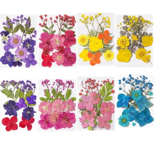Flores prensadas secas para manualidades miniatura 1