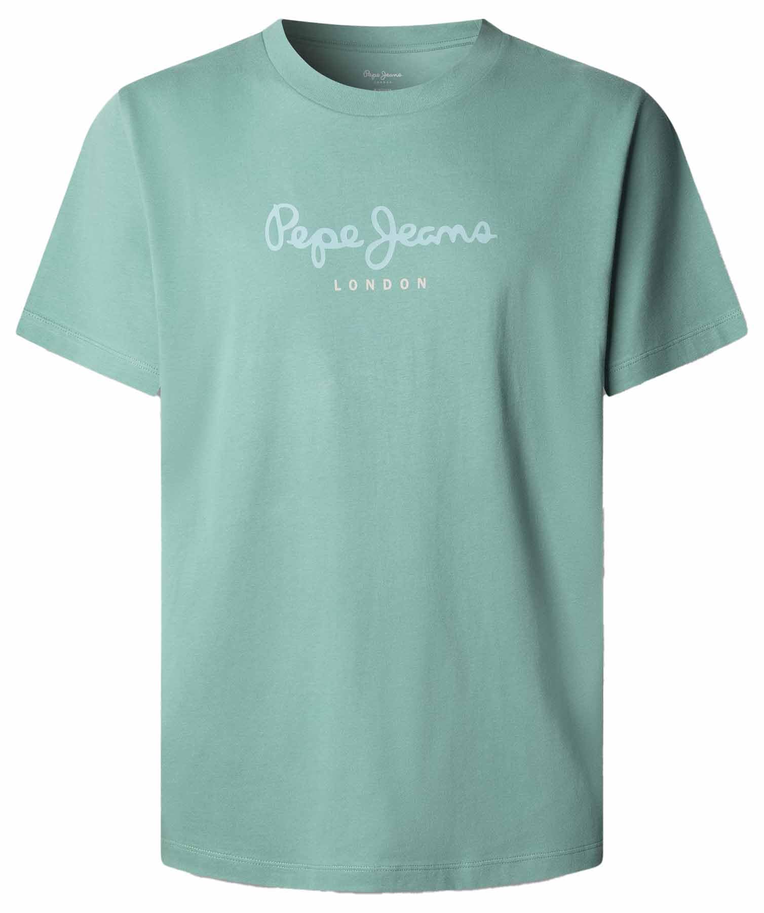 Pepe Jeans Men's EGGO N T-Shirt, Green (Woods Green), XL