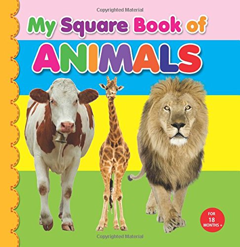 My Square Board Book - Animals