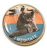 Recovery Line AA,Alcoholics Anonymous, NA, Al-Anon I Pray I Meditate Cat Medallion,Chip,Token, Coin