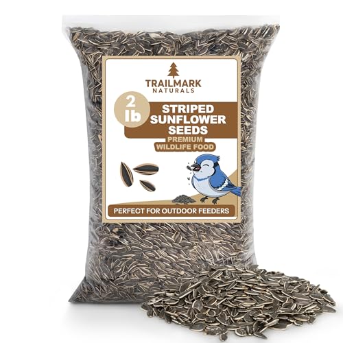 TRAILMARK NATURALS Striped Sunflower Seeds Seeds for Birds Premium Wildlife & Bird Food Grown in USA - Striped Sunflowers for Backyard Feeders and Wild Birds - 2 Pounds