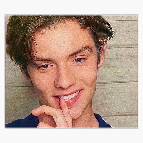 Louis Partridge Kiss Me Poster Sticker Vinyl Waterproof Sticker Decal Car Laptop Wall Window Bumper Sticker 5'