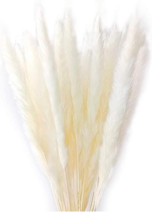 MLSG 60 Stems 22 Inch Natural Dry Flowers Small Pampas Grass, Phragmites Communis, Dried Flowers Bouquet for Wedding Floral Arrangements Home Decorations (White)
