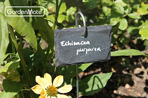 Gardenmate 5-Pack Natural Style Slate Plant Labels (4"X 2 3/4") Hanging From A Stainless Steel Metal Rod (17") #TOP2