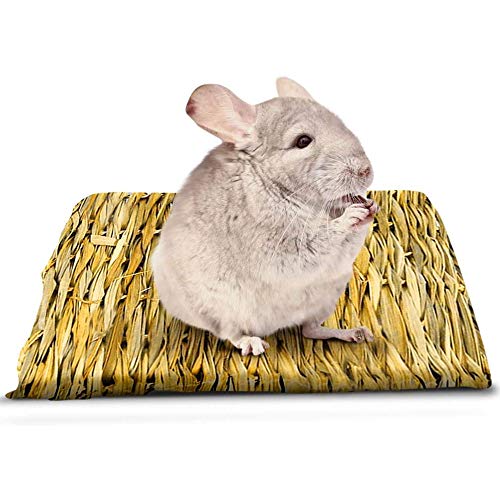 SunGrow Tapis en jonc de mer pour chinchilla, 12 x 12 pouces, lit de jeu tissé à la main, jouet à mâcher comestible, pour traiter les hocks douloureux des rongeurs, placer en cage ou sur le sol Cover
