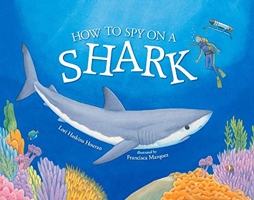 How to Spy on a Shark