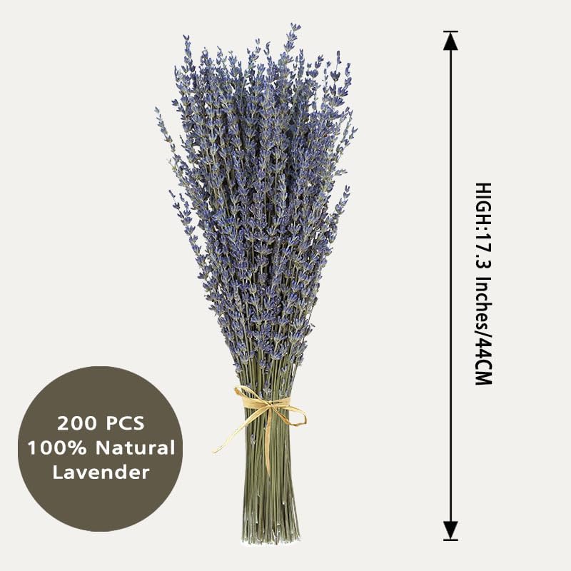 Dried Lavender 2 Bunches 100% Fresh Natural Purple Bouquet Flowers for Bathroom Photo Props Crafts Decoration, 15-17 for Shower Weeding Vase Decor, Home Fragrance(200-220 Stems(100g/3.5oz Total))