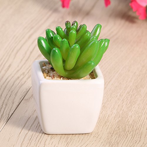WINOMO 3 peças de mini plantas suculentas artificiais com vaso de cerâmica branca