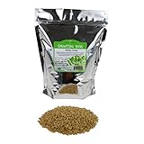 Handy Pantry Organic Barley Grass - Whole (Hull Intact) Barleygrass Seed - Ornamental Barley Grass, Juicing - Grain for Beer Making, Emergency Food Storage & More