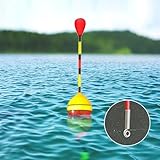 CWPFVQA B0DDSZY1PL lato 4