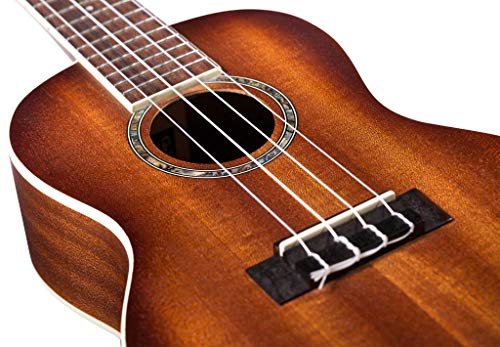 Cordoba 15CM E Concert Electric Ukelele Edgeburst by Cordoba - Image 5