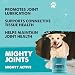 Mighty Paw Waggables Joint Support Supplement for Dogs (Made in USA) | Glucosamine for Dogs Hip and Joint Supplement. Vet Formulated Pet Mobility, Chondriotin & MSM Pet Chews (120 Ct)