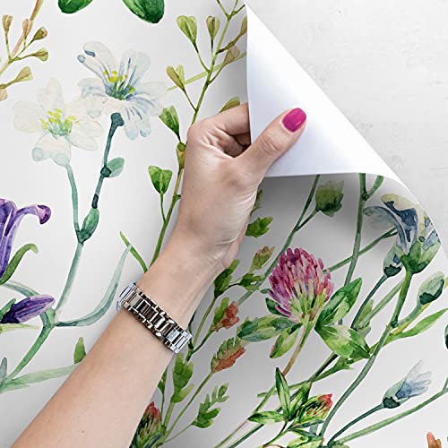 Papier Peint 416x254 cm Fleurs Sauvages Magic-Stick