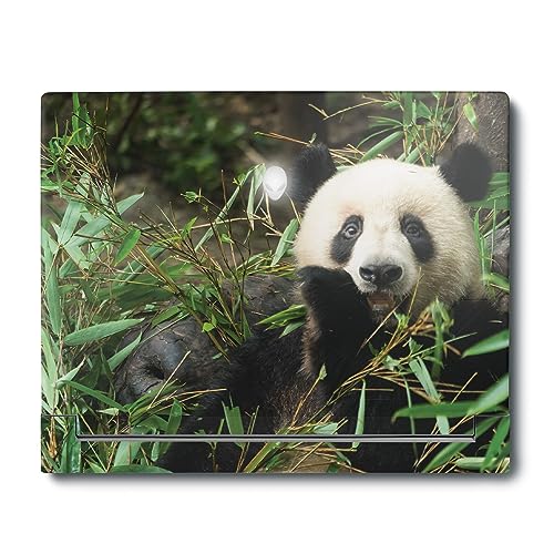 Image of MightySkins Skin Compatible with Alienware X16 R1 (2023) Full Wrap Kit - Chill Panda | Protective, Durable, and Unique Vinyl Decal wrap Cover | Easy to Apply & Change Styles | Made in The USA