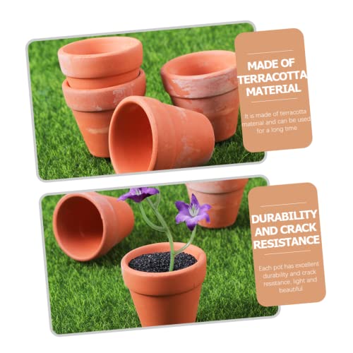 Review de Maceta jardinera de barro más recomendados. 14 Imagen adicional