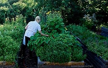 Hardcover The Relation Between Us Book