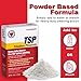 Savogran 10621 Trisodium Phosphate (TSP) 1LB (16oz) - 2 Pack