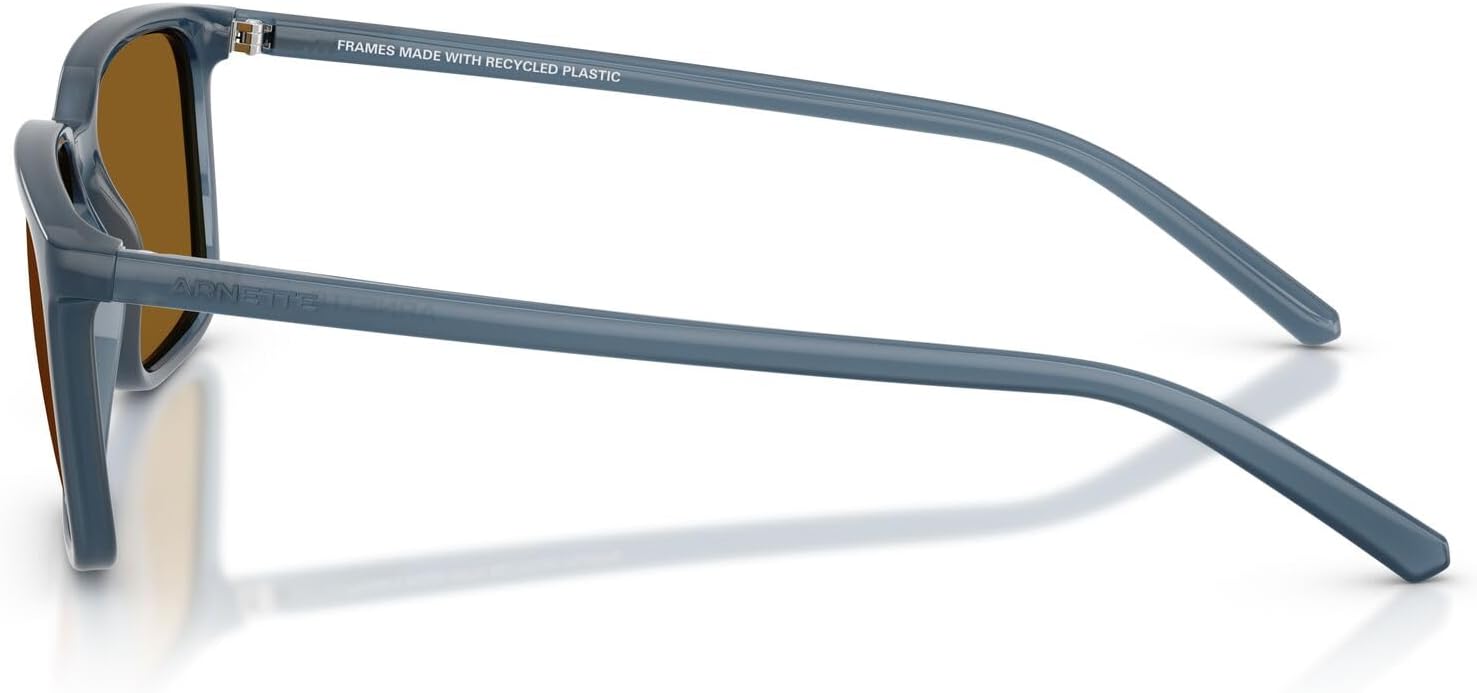 ARNETTE mens An4364 Dinsky