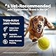 YuMOVE Grünlippmuschel Hund Gelenktabletten - 120 Tabletten - Beweglichkeit und Gelenkfunktion - Gelenktabletten für Erwachsene Hunde - Gelenktabletten für Hunde mit Omega-3 und Hyaluronsäure
