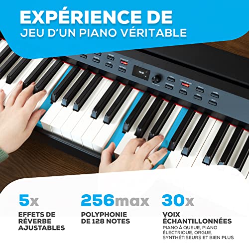 Alesis Prestige Artist – Piano numérique 88 touches de taille authentique à mécanique graduée à marteaux, 30 sons de… - Les Beatles, Paul McCartney, John Lennon, RIngo Starr, George Harrison Alesis Prestige Artist – Piano numérique 88 touches de taille authentique à mécanique graduée à marteaux, 30 sons de… – Image 5