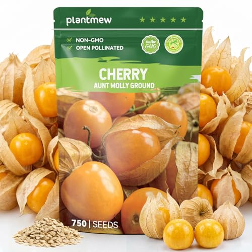 PLANTMEW 750 Heirloom Aunt Molly Ground Cherry Seeds for Planting Sweet Husk Cherry Pineapple-Like Flavor High Germination Ideal for Home Garden & Container