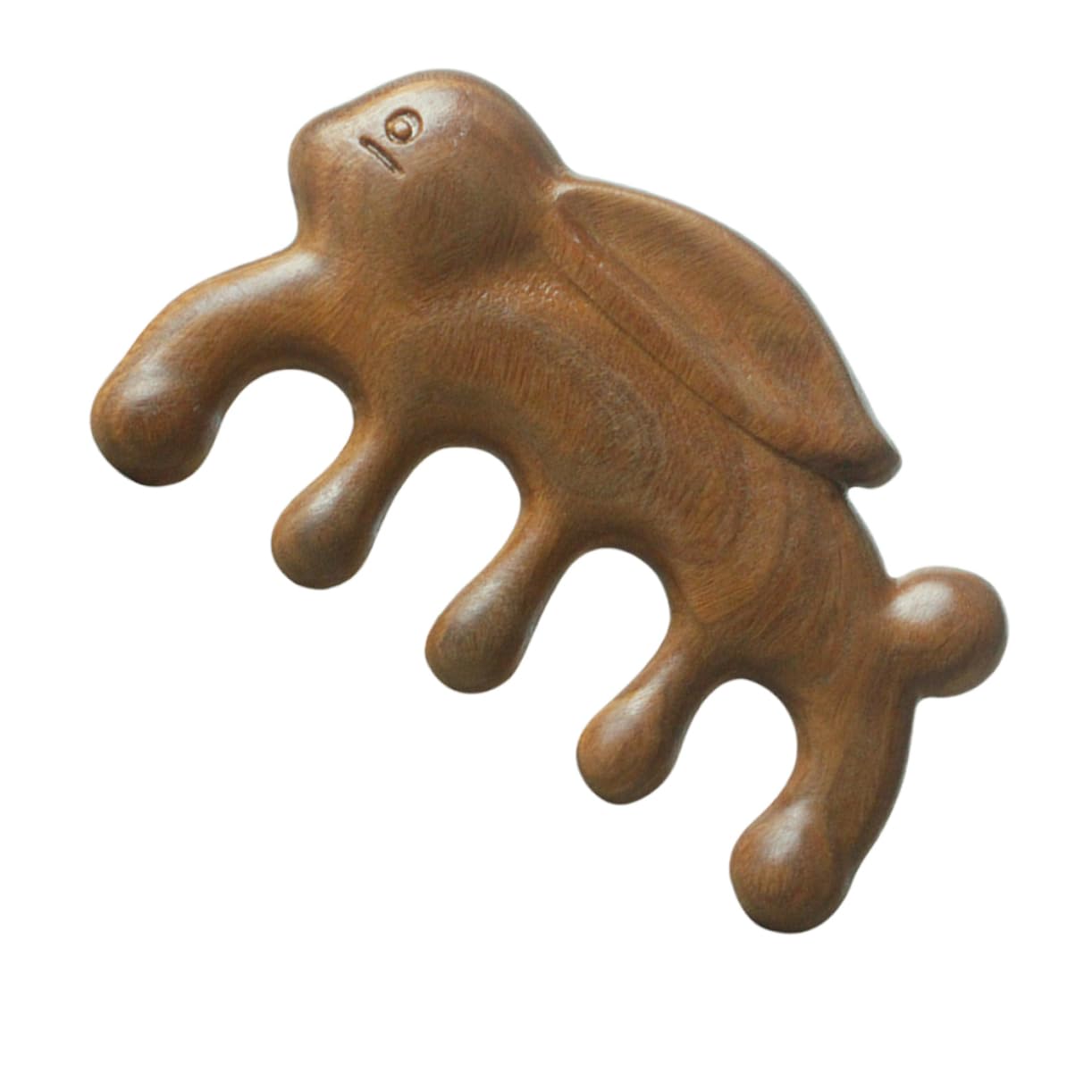 FRCOLOR 4 Pz Pettine da massaggio in legno di sandalo verde strumento massaggiatore facciale multistrumenti massaggiatore cuoio capelluto pettine per cuoio capelluto scritte