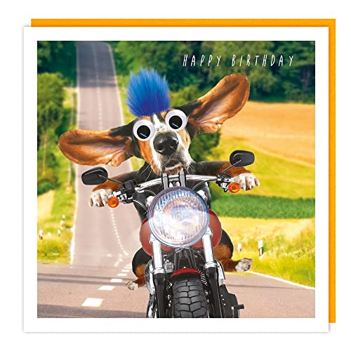 Basset Hound on Motorbike Birthday Card - 3D Goggly Eyes & Fluff Hair