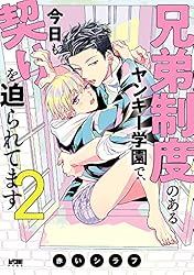Amazon.co.jp: 兄弟制度のあるヤンキー学園で、今日も契りを迫